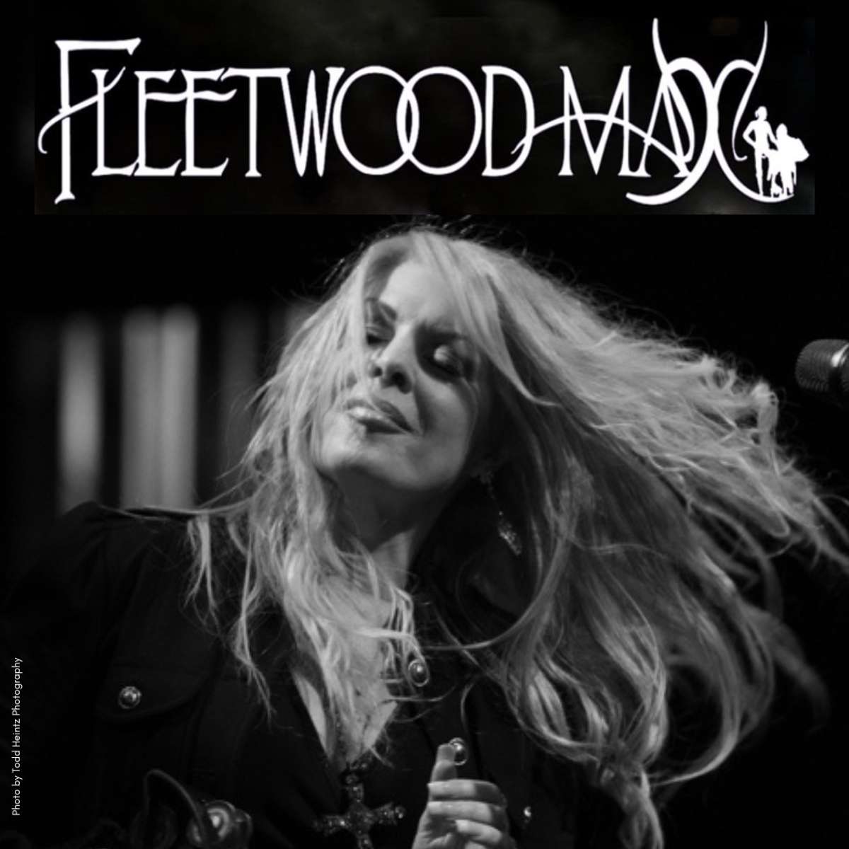 Fleetwood Max